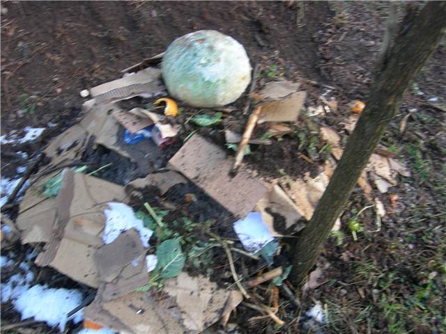 arčilend